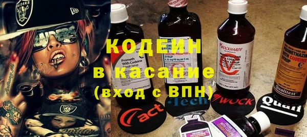 ECSTASY Бородино